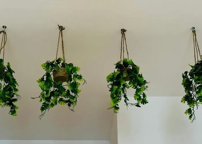 Lejlighed Beautiful Flat Next The Valencia