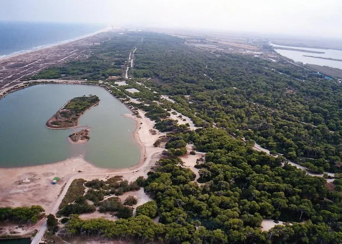 Fantastic Near Appartement Valencia