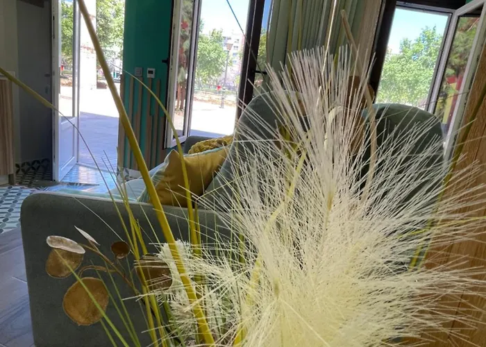 Lounge Garden Sea Mint Fresh *