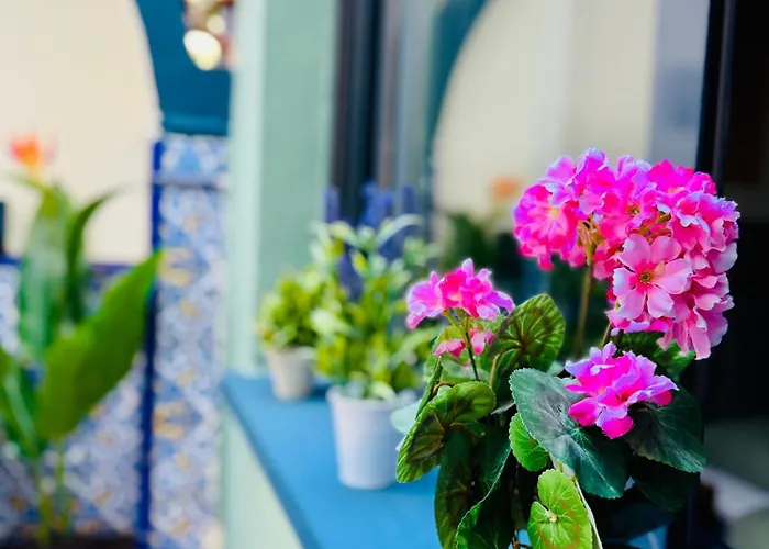 Trendy Ruzafa Neighborhood - Spacious Luxury 3br With Double Terrace 아파트 *