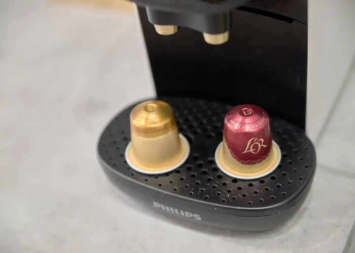 Romantic Roig Arena N9 Virkin فالنسيا