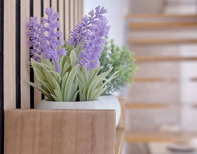 Romantic Roig Arena N10 Virkin * Valencia