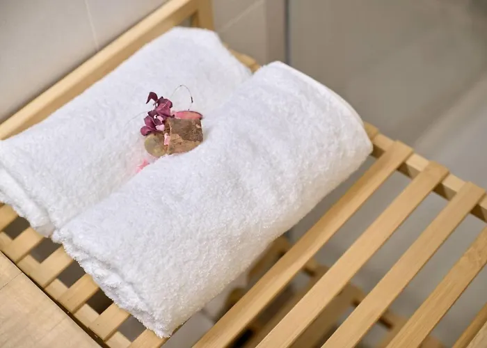 Romantic Roig Arena N2 Virkin Appartement Valence