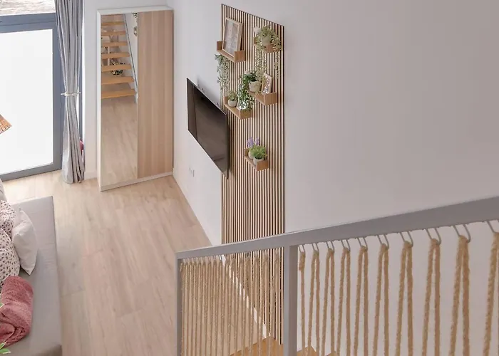 Romantic Roig Arena N10 Virkin *