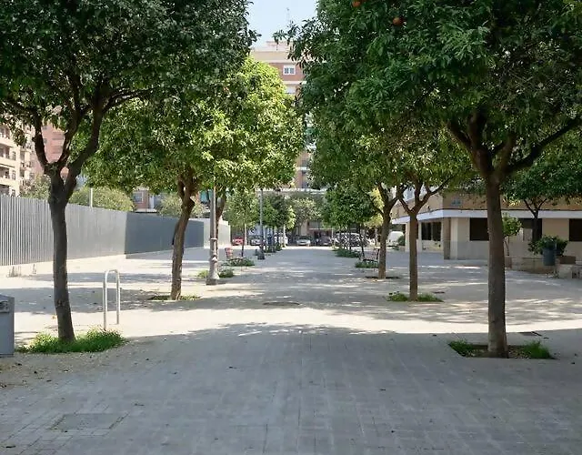 Romantic Roig Arena N2 Virkin *