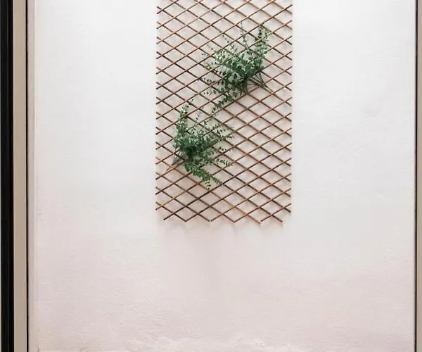 Vlc Host - Alfaro A Lejlighed