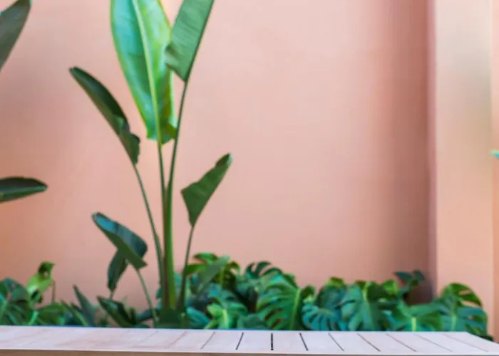 Daire Moderno Con Terraza En El Centro