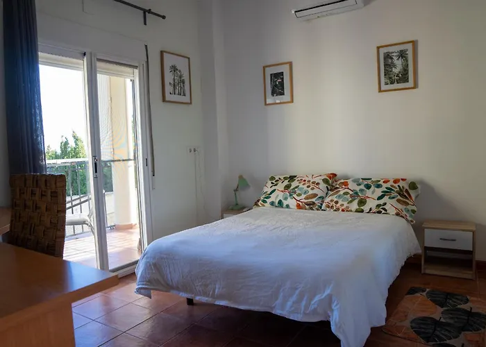 Beautiful With Huge Private Pool And Vineyard View 빌라 발렌시아