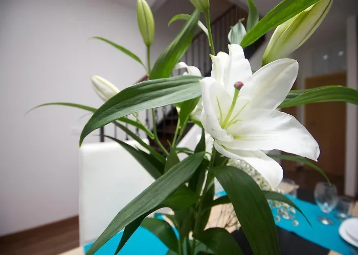 Oyo Style Puerto 아파트