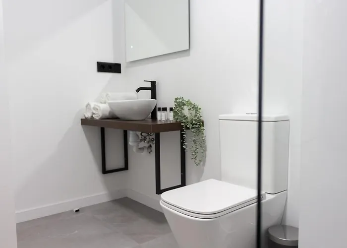 Vlc Host - Duque De Gaeta * 발렌시아