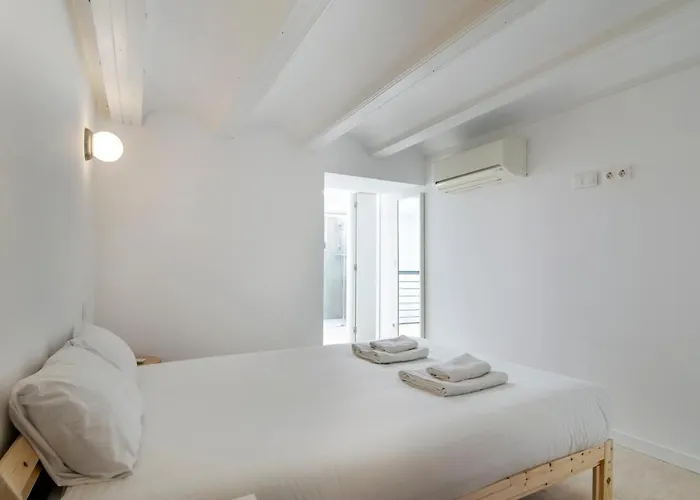 Vlc Host - Botanico *