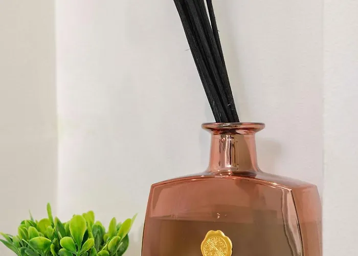 Acogedor Frente A Plaza Del Cedro