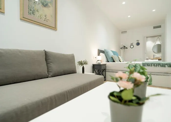 Vlc Host- Sant Jordi