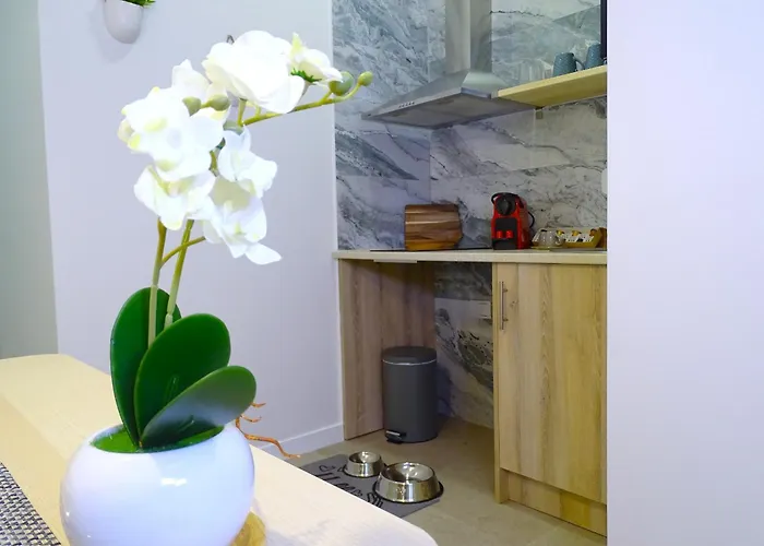 Διαμέρισμα Ptz 1b - Loft