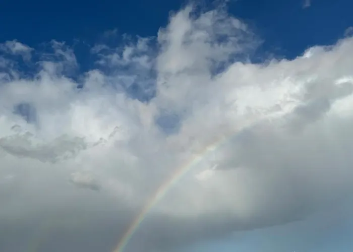 Escapate Con Estilo En