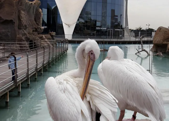 Ciudad De Artes Y Ciencias 4*