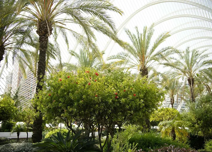 Ciudad De Artes Y Ciencias 4*