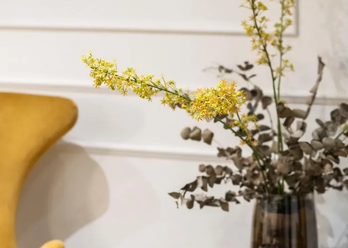 Blanq Comedias Valensiya