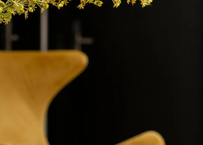 게스트하우스 Blanq Comedias