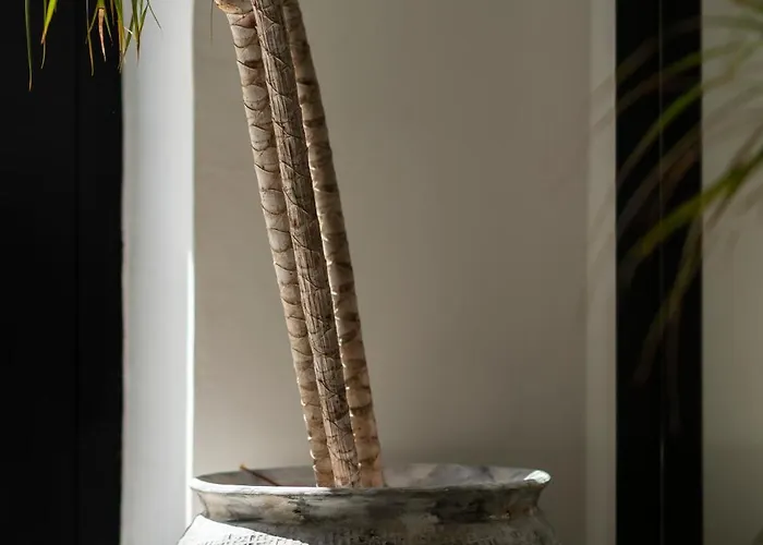 Blanq Comedias 게스트하우스