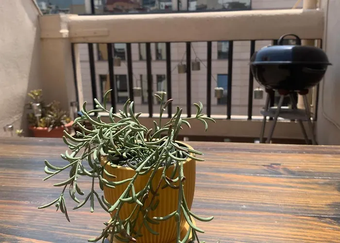 Apartment Atico En El Centro Con Terraza