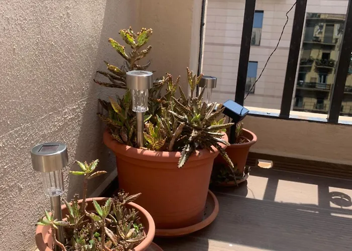 דירה Atico En El Centro Con Terraza ולנסיה