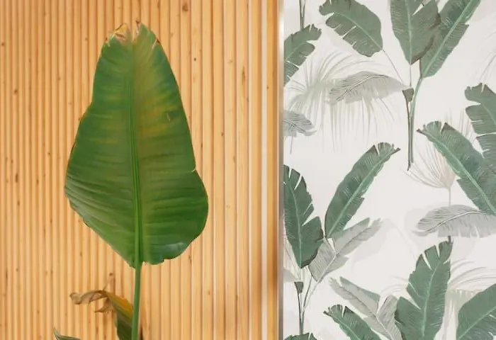 شقة Tiny Gem - 2br - Relax فالنسيا