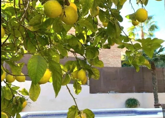 Holiday home Casa En Valencia, Piscina, Cerca De Golf, Playas, Moto Gp Valencia