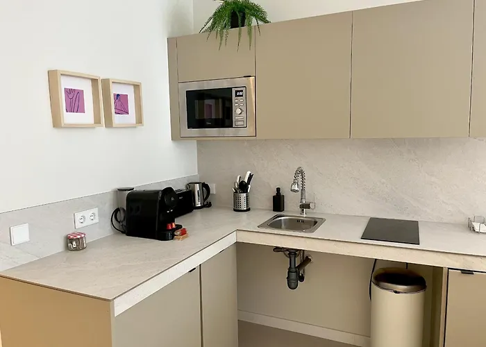 Osito Hub - Florista Valencia