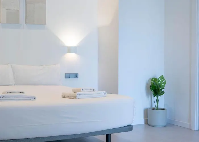 Vlc Host - Bellvis * 발렌시아