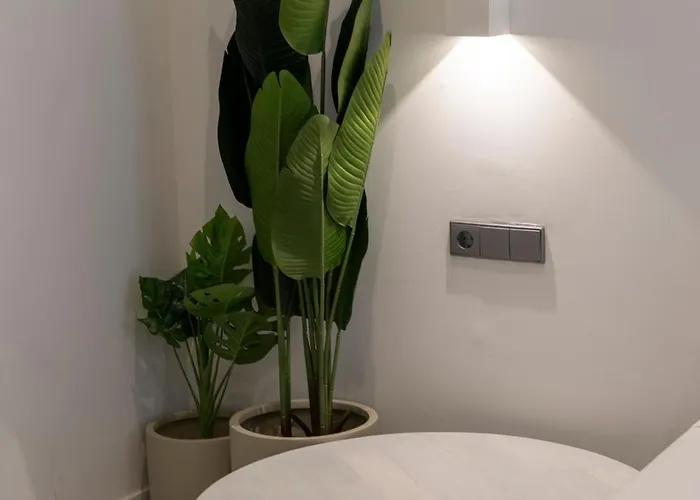 Vlc Host - Bellvis 아파트 발렌시아