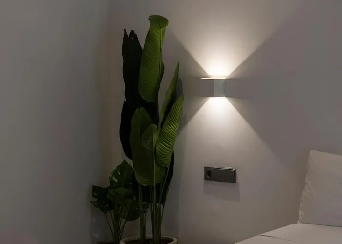 아파트 Vlc Host - Bellvis