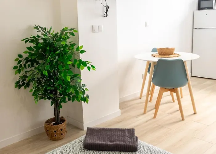 Apartment Boho Flats