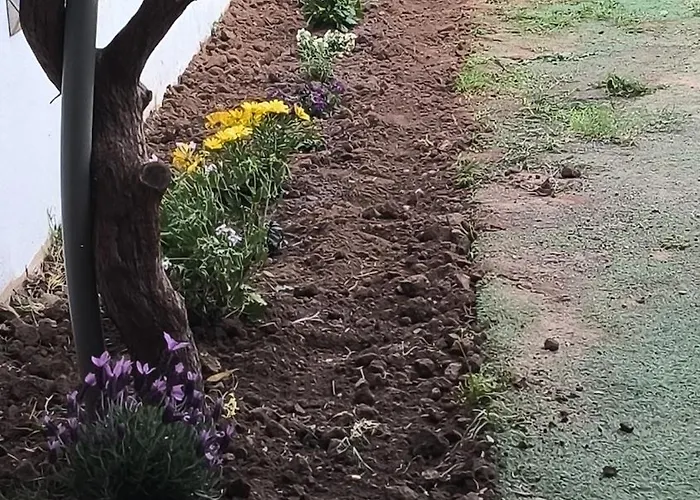 Townhouse With Pool Next To The Of Arts * Valencia