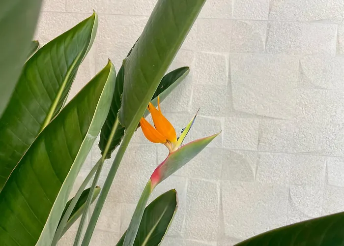 Hotel Md Design - Portal Del Real Valencia