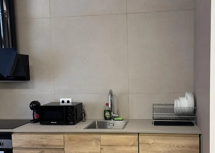 Basset 3 Βαλένθια