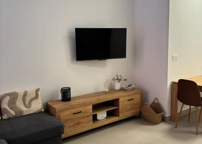 Basset 2 * فالنسيا