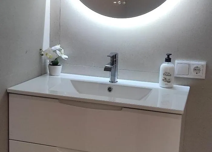 Basset 2 فالنسيا