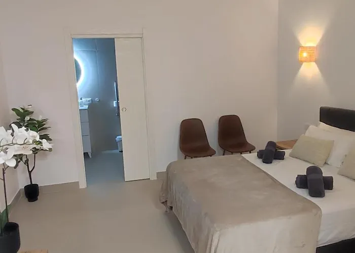 Basset 1 * فالنسيا