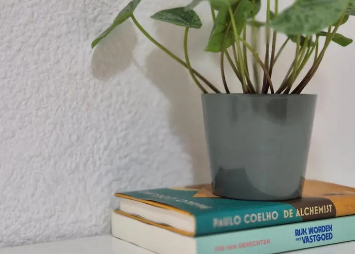 홈스테이 Need 발렌시아