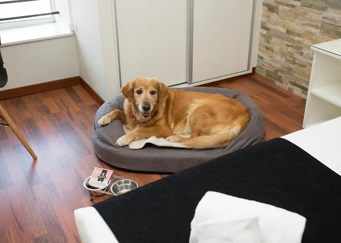 Casual Vintage Hotel Valencie