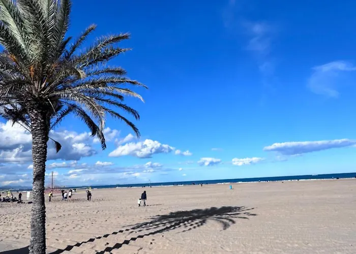 Privada Con Bano Privado Iii * فالنسيا