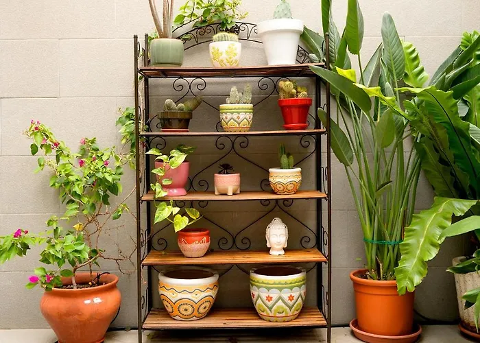 Mediterranean Boutique Fisherman's House Villa Valencia