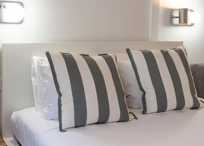 Vlc Host - Vicente Brull *