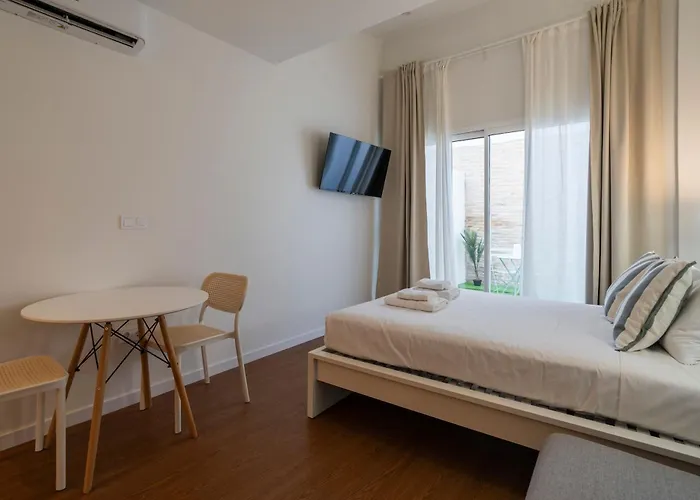 Vlc Host - Vicente Brull * فالنسيا