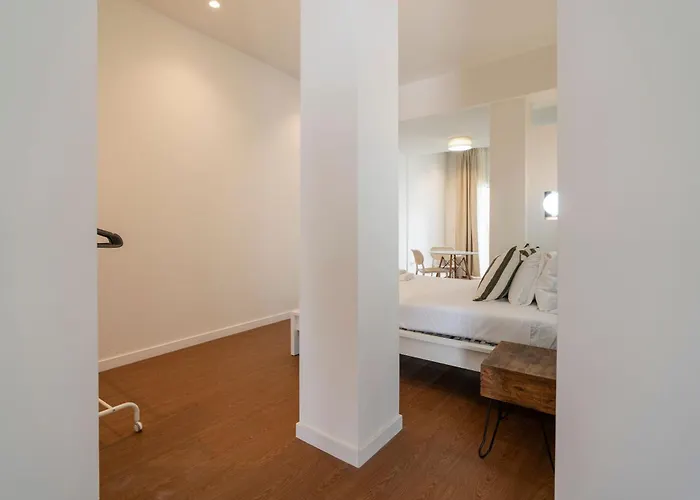 Vlc Host - Vicente Brull *