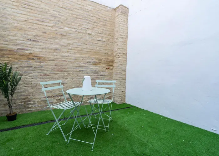 Vlc Host - Vicente Brull *