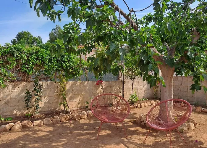 Buganvilla * 瓦伦西亚