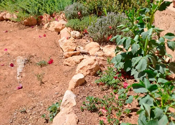 度假居 Buganvilla 瓦伦西亚