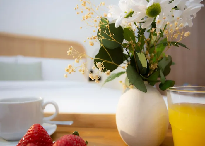 Nomad Haux Mestalla 아파트